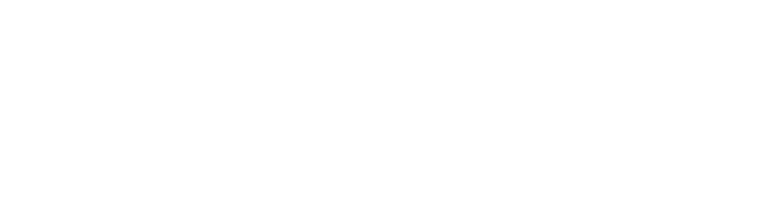 Flux Society
